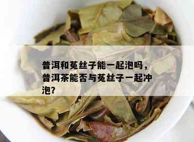 普洱和菟丝子能一起泡吗，普洱茶能否与菟丝子一起冲泡？