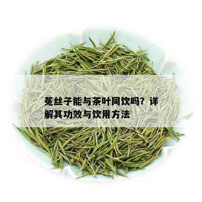 菟丝子能与茶叶同饮吗？详解其功效与饮用方法