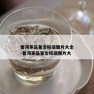 普洱茶品鉴会标语图片大全-普洱茶品鉴会标语图片大