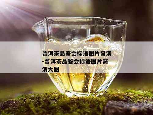 普洱茶品鉴会标语图片高清-普洱茶品鉴会标语图片高清大图