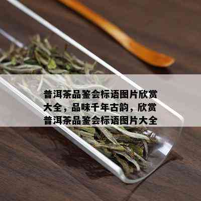 普洱茶品鉴会标语图片欣赏大全，品味千年古韵，欣赏普洱茶品鉴会标语图片大全