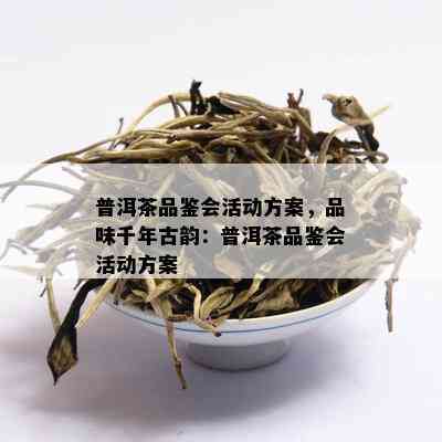 普洱茶品鉴会活动方案，品味千年古韵：普洱茶品鉴会活动方案