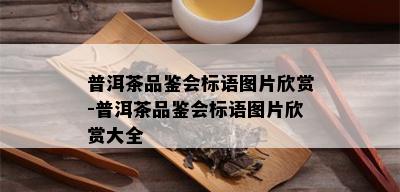 普洱茶品鉴会标语图片欣赏-普洱茶品鉴会标语图片欣赏大全