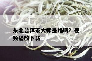 东北普洱茶大师是谁啊？视频播放下载