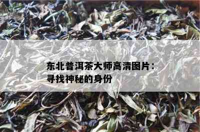 东北普洱茶大师高清图片：寻找神秘的身份