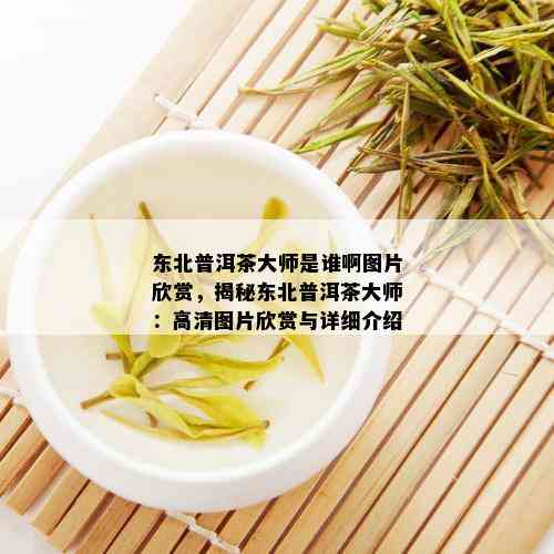 东北普洱茶大师是谁啊图片欣赏，揭秘东北普洱茶大师：高清图片欣赏与详细介绍