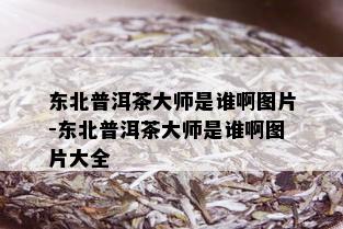 东北普洱茶大师是谁啊图片-东北普洱茶大师是谁啊图片大全