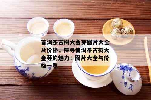 普洱茶古树大金芽图片大全及价格，探寻普洱茶古树大金芽的魅力：图片大全与价格一览