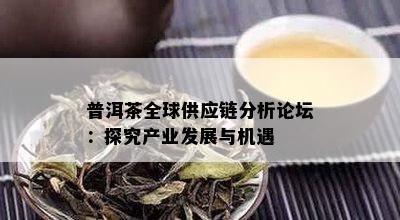 普洱茶全球供应链分析论坛：探究产业发展与机遇