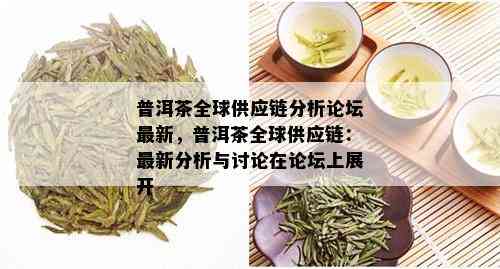 普洱茶全球供应链分析论坛最新，普洱茶全球供应链：最新分析与讨论在论坛上展开