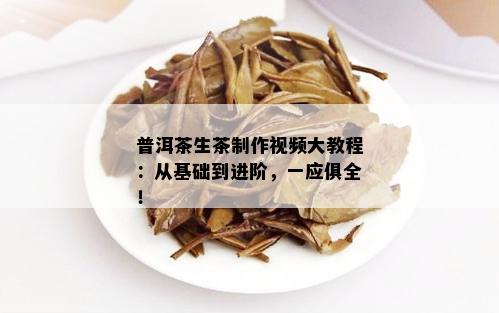 普洱茶生茶制作视频大教程：从基础到进阶，一应俱全！