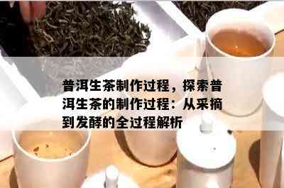 普洱生茶制作过程，探索普洱生茶的制作过程：从采摘到发酵的全过程解析