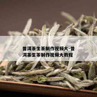 普洱茶生茶制作视频大-普洱茶生茶制作视频大教程