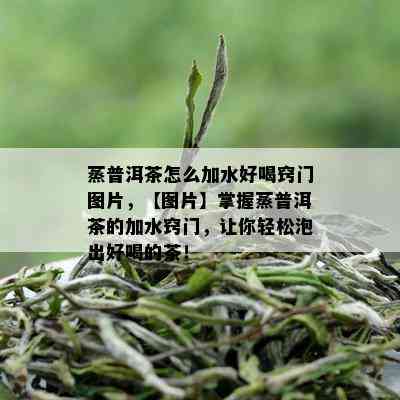 蒸普洱茶怎么加水好喝窍门图片，【图片】掌握蒸普洱茶的加水窍门，让你轻松泡出好喝的茶！