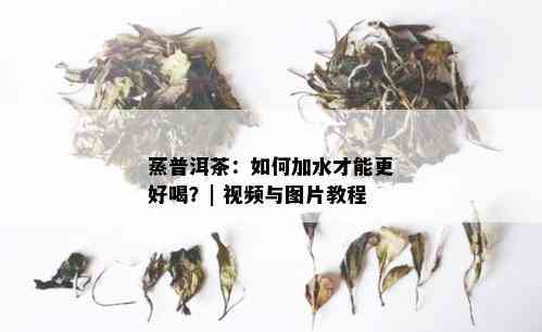 蒸普洱茶：如何加水才能更好喝？| 视频与图片教程