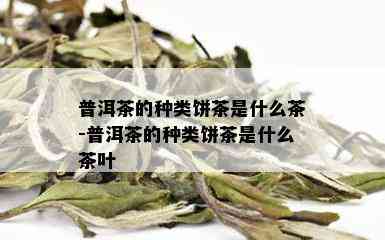 普洱茶的种类饼茶是什么茶-普洱茶的种类饼茶是什么茶叶