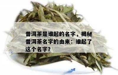 普洱茶是谁起的名字，揭秘普洱茶名字的由来：谁起了这个名字？