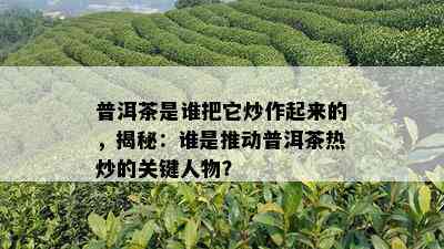 普洱茶是谁把它炒作起来的，揭秘：谁是推动普洱茶热炒的关键人物？