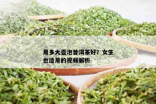 用多大壶泡普洱茶好？女生也适用的视频解析