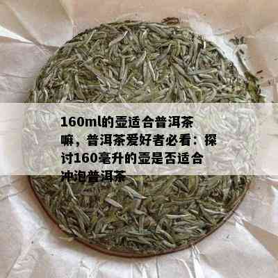 160ml的壶适合普洱茶嘛，普洱茶爱好者必看：探讨160毫升的壶是否适合冲泡普洱茶