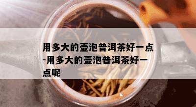 用多大的壶泡普洱茶好一点-用多大的壶泡普洱茶好一点呢