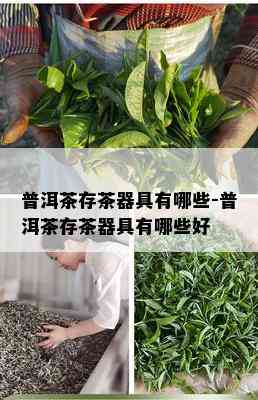 普洱茶存茶器具有哪些-普洱茶存茶器具有哪些好