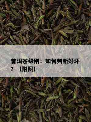 普洱茶级别：如何判断好坏？（附图）