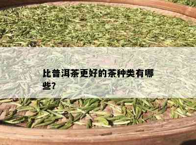 比普洱茶更好的茶种类有哪些？