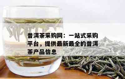 普洱茶采购网：一站式采购平台，提供最新最全的普洱茶产品信息