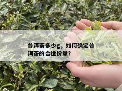 普洱茶多少g，如何确定普洱茶的合适份量？