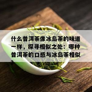 什么普洱茶像冰岛茶的味道一样，探寻相似之处：哪种普洱茶的口感与冰岛茶相似？