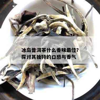 冰岛普洱茶什么香味更佳？探讨其独特的口感与香气