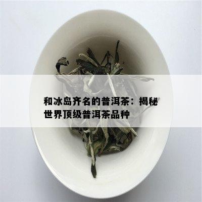 和冰岛齐名的普洱茶：揭秘世界顶级普洱茶品种