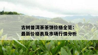 古树普洱茶茶饼价格全览：最新价格表及市场行情分析