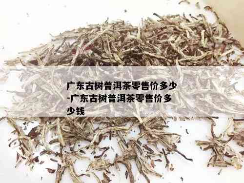 广东古树普洱茶零售价多少-广东古树普洱茶零售价多少钱