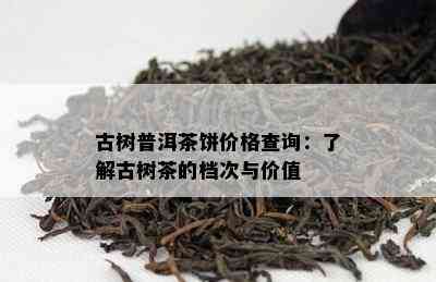 古树普洱茶饼价格查询：了解古树茶的档次与价值