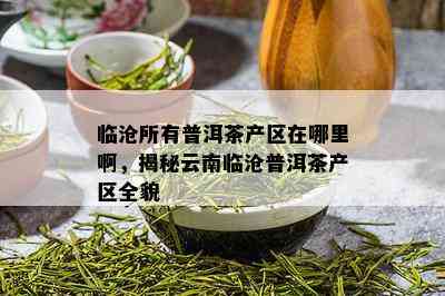 临沧所有普洱茶产区在哪里啊，揭秘云南临沧普洱茶产区全貌