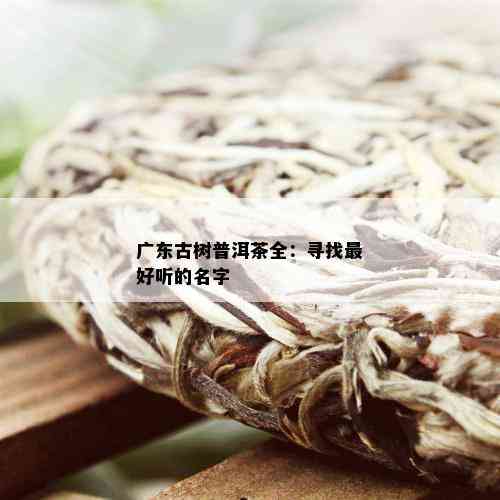 广东古树普洱茶全：寻找更好听的名字