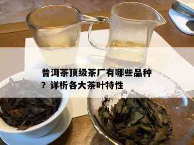 普洱茶顶级茶厂有哪些品种？详析各大茶叶特性