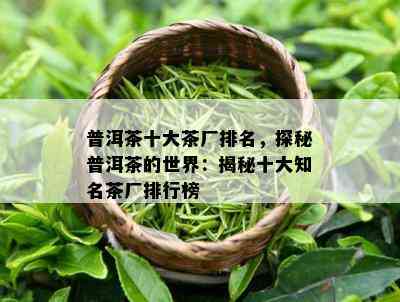 普洱茶十大茶厂排名，探秘普洱茶的世界：揭秘十大知名茶厂排行榜