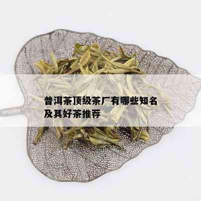 普洱茶顶级茶厂有哪些知名及其好茶推荐