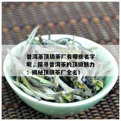 普洱茶顶级茶厂有哪些名字呢，探寻普洱茶的顶级魅力：揭秘顶级茶厂全名！