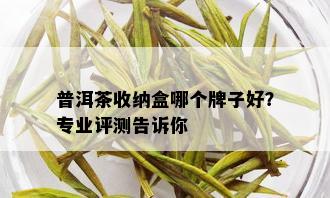 普洱茶收纳盒哪个牌子好？专业评测告诉你