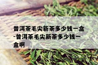 普洱茶毛尖新茶多少钱一盒-普洱茶毛尖新茶多少钱一盒啊