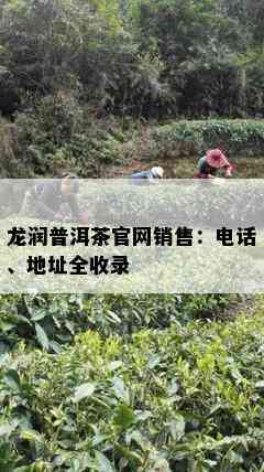 龙润普洱茶官网销售：电话、地址全收录