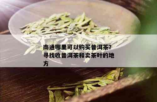 南通哪里可以购买普洱茶？寻找收普洱茶和卖茶叶的地方