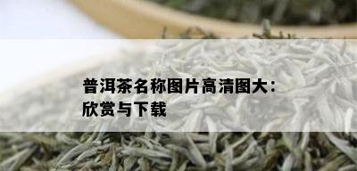 普洱茶名称图片高清图大：欣赏与下载