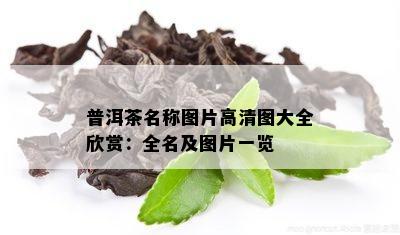 普洱茶名称图片高清图大全欣赏：全名及图片一览