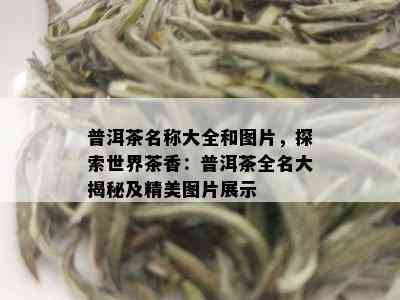 普洱茶名称大全和图片，探索世界茶香：普洱茶全名大揭秘及精美图片展示