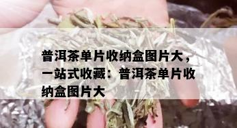 普洱茶单片收纳盒图片大，一站式收藏：普洱茶单片收纳盒图片大